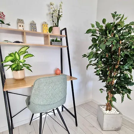 Sector3 Modern Living And Terrace ブカレスト